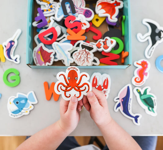 Magnetic Sea Creatures and Letters