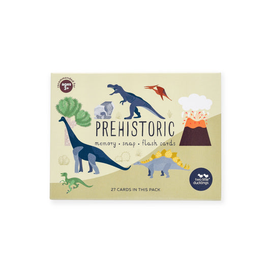 Prehistoric Snap and Memory Card Game