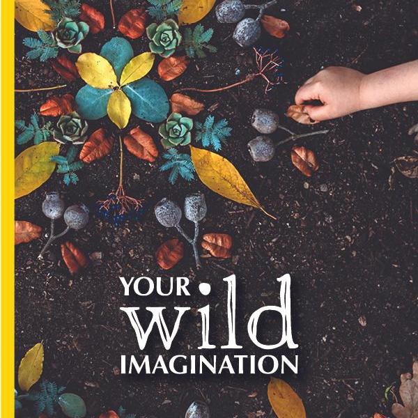 Your Wild Imagination Nature Play Activity Book
